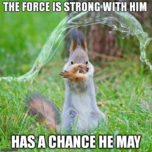force is strong with him | THE FORCE IS STRONG WITH HIM HAS A CHANCE HE MAY | image tagged in squirrel,force,strong | made w/ Imgflip meme maker
