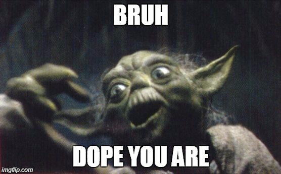BRUH DOPE YOU ARE | image tagged in yoda,bruh,dope,my nigga | made w/ Imgflip meme maker