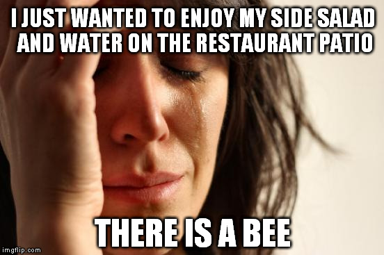 First World Problems | I JUST WANTED TO ENJOY MY SIDE SALAD AND WATER ON THE RESTAURANT PATIO THERE IS A BEE | image tagged in memes,first world problems | made w/ Imgflip meme maker