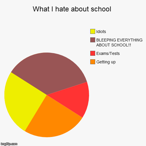 Pretty much that's what everybody think's | image tagged in pie charts,haters,school,exams/test,getting up | made w/ Imgflip chart maker