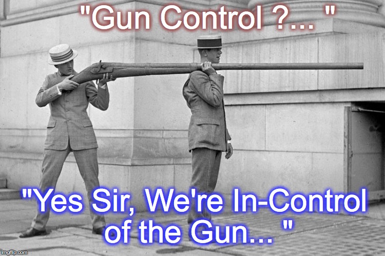 "Gun Control ?... " "Yes Sir, We're In-Control of the Gun... " | image tagged in big ass gun | made w/ Imgflip meme maker