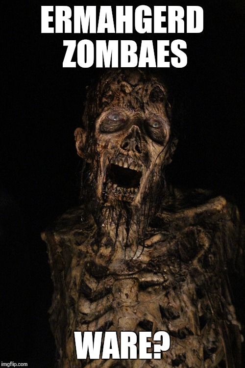 Ermahgerd Zombaes | ERMAHGERD ZOMBAES WARE? | image tagged in ermahgerd,zombies,the walking dead,fear the walking dead,walking dead,walking dead zombie | made w/ Imgflip meme maker