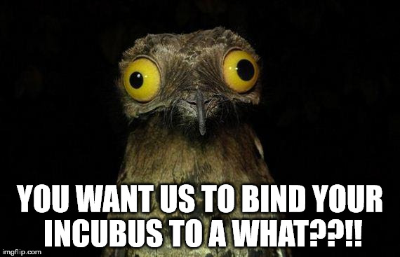 Weird Stuff I Do Potoo Meme | YOU WANT US TO BIND YOUR INCUBUS TO A WHAT??!! | image tagged in memes,weird stuff i do potoo | made w/ Imgflip meme maker