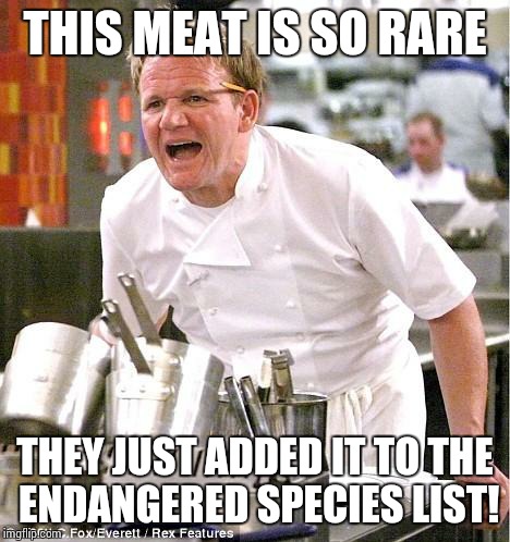 Chef Gordon Ramsay | THIS MEAT IS SO RARE THEY JUST ADDED IT TO THE ENDANGERED SPECIES LIST! | image tagged in memes,chef gordon ramsay,meat,cooking,angry chef gordon ramsay | made w/ Imgflip meme maker