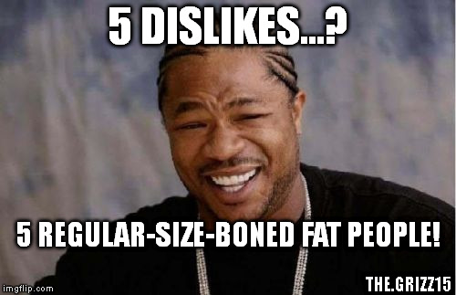 5 DISLIKES...? 5 REGULAR-SIZE-BONED FAT PEOPLE! THE.GRIZZ15 | image tagged in memes,yo dawg heard you | made w/ Imgflip meme maker