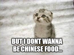 Sad Cat Meme | BUT I DONT WANNA BE CHINESE FOOD... | image tagged in memes,sad cat | made w/ Imgflip meme maker