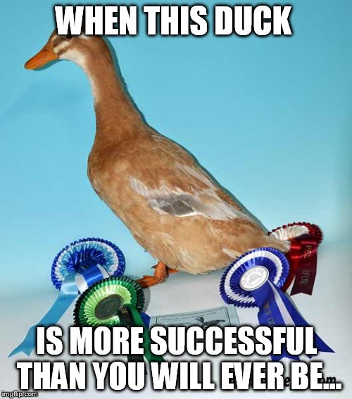 It's sad, but true... | WHEN THIS DUCK IS MORE SUCCESSFUL THAN YOU WILL EVER BE... | image tagged in duck,failure | made w/ Imgflip meme maker