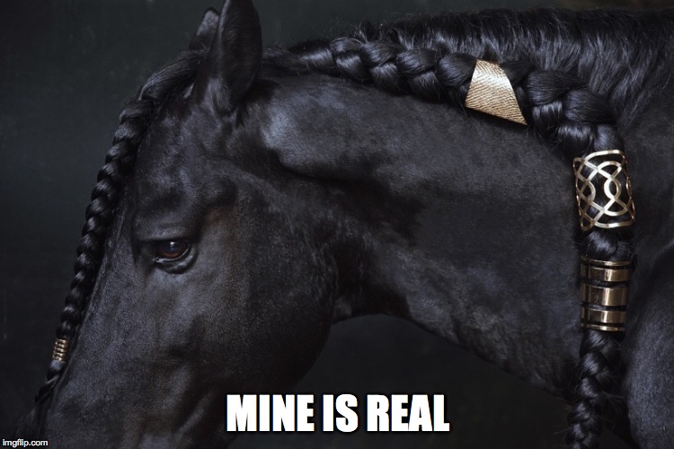 MINE IS REAL | image tagged in black horse | made w/ Imgflip meme maker