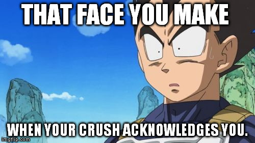 Surprized Vegeta Meme | THAT FACE YOU MAKE WHEN YOUR CRUSH ACKNOWLEDGES YOU. | image tagged in memes,surprized vegeta | made w/ Imgflip meme maker