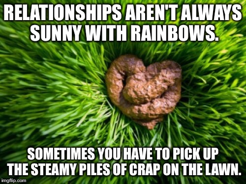 RELATIONSHIPS AREN'T ALWAYS SUNNY WITH RAINBOWS. SOMETIMES YOU HAVE TO PICK UP THE STEAMY PILES OF CRAP ON THE LAWN. | image tagged in poop | made w/ Imgflip meme maker