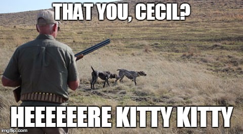 THAT YOU, CECIL? HEEEEEERE KITTY KITTY | made w/ Imgflip meme maker
