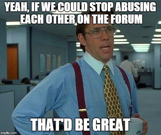 That Would Be Great Meme | YEAH, IF WE COULD STOP ABUSING EACH OTHER ON THE FORUM THAT'D BE GREAT | image tagged in memes,that would be great | made w/ Imgflip meme maker
