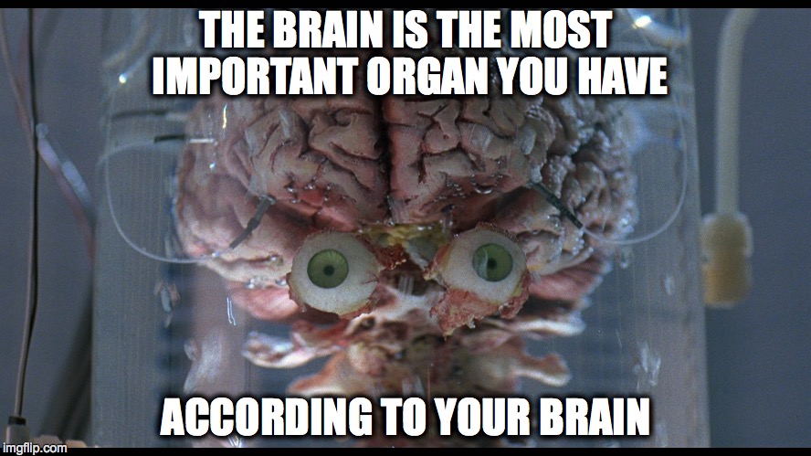 Brain of Wisdom | THE BRAIN IS THE MOST IMPORTANT ORGAN YOU HAVE ACCORDING TO YOUR BRAIN | image tagged in brain of wisdom | made w/ Imgflip meme maker