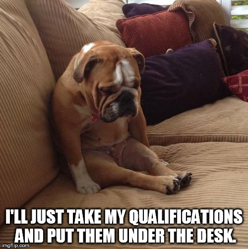 bulldogsad | I'LL JUST TAKE MY QUALIFICATIONS AND PUT THEM UNDER THE DESK. | image tagged in bulldogsad | made w/ Imgflip meme maker