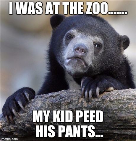 Confession Bear | I WAS AT THE ZOO....... MY KID PEED HIS PANTS... | image tagged in memes,confession bear | made w/ Imgflip meme maker