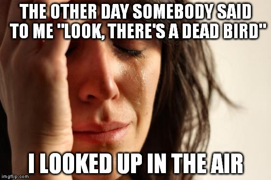 First World Problems | THE OTHER DAY SOMEBODY SAID TO ME "LOOK, THERE'S A DEAD BIRD" I LOOKED UP IN THE AIR | image tagged in memes,first world problems | made w/ Imgflip meme maker