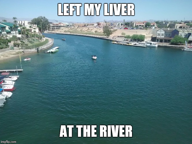 Shelleylane | LEFT MY LIVER AT THE RIVER | image tagged in shelleylane | made w/ Imgflip meme maker