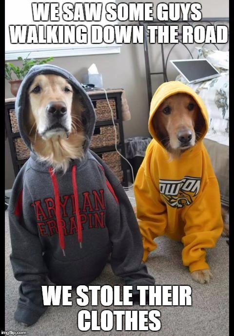 we saw some guys walking down the road......... | WE SAW SOME GUYS WALKING DOWN THE ROAD WE STOLE THEIR CLOTHES | image tagged in thug dogs | made w/ Imgflip meme maker