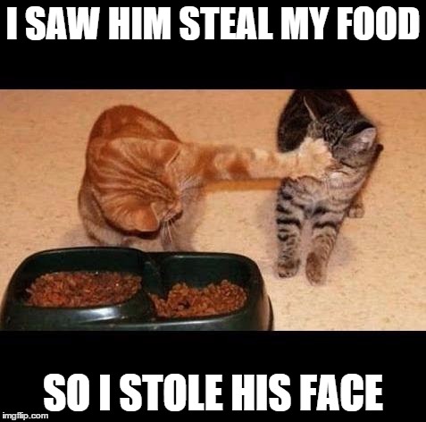 I saw him steal my food, so I... | I SAW HIM STEAL MY FOOD SO I STOLE HIS FACE | image tagged in cats share food | made w/ Imgflip meme maker