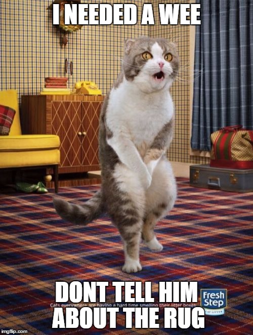 i needed a wee, dont tell him about the rug | I NEEDED A WEE DONT TELL HIM ABOUT THE RUG | image tagged in memes,gotta go cat | made w/ Imgflip meme maker