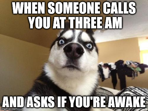 Husky Richard | WHEN SOMEONE CALLS YOU AT THREE AM AND ASKS IF YOU'RE AWAKE | image tagged in husky richard | made w/ Imgflip meme maker