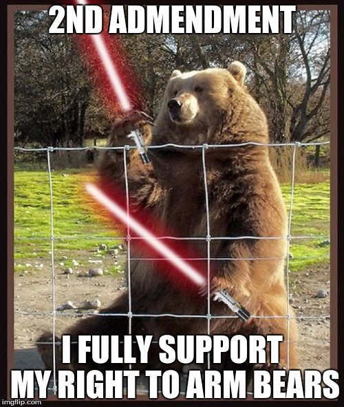 2nd amdendment bear | 2ND ADMENDMENT I FULLY SUPPORT MY RIGHT TO ARM BEARS | image tagged in 2nd amendment,bear | made w/ Imgflip meme maker