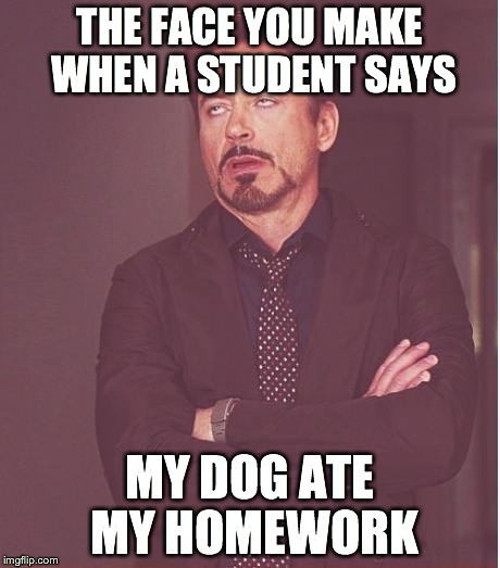 Face You Make Robert Downey Jr Meme | THE FACE YOU MAKE WHEN A STUDENT SAYS MY DOG ATE MY HOMEWORK | image tagged in memes,face you make robert downey jr | made w/ Imgflip meme maker