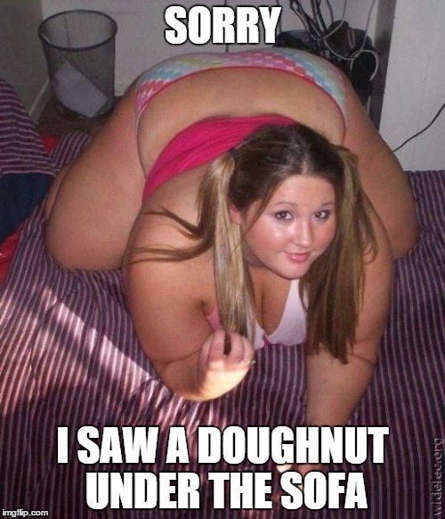 When fat girls said being curvy is cool | SORRY I SAW A DOUGHNUT UNDER THE SOFA | image tagged in when fat girls said being curvy is cool | made w/ Imgflip meme maker