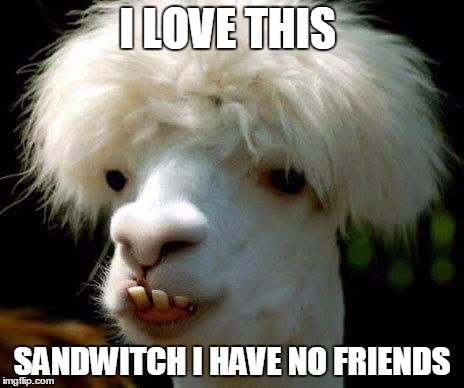 Dumbass | I LOVE THIS SANDWITCH I HAVE NO FRIENDS | image tagged in dumbass | made w/ Imgflip meme maker