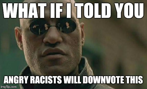 Matrix Morpheus Meme | WHAT IF I TOLD YOU ANGRY RACISTS WILL DOWNVOTE THIS | image tagged in memes,matrix morpheus | made w/ Imgflip meme maker