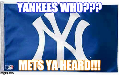 Yankees suck | YANKEES WHO??? METS YA HEARD!!! | image tagged in yankees suck,mlb,baseball | made w/ Imgflip meme maker