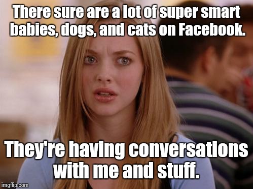 OMG Karen | There sure are a lot of super smart babies, dogs, and cats on Facebook. They're having conversations with me and stuff. | image tagged in memes,omg karen | made w/ Imgflip meme maker