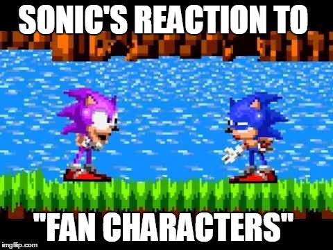 " fan characters"  | SONIC'S REACTION TO "FAN CHARACTERS" | image tagged in sonic the hedgehog,recolors,fanfiction | made w/ Imgflip meme maker
