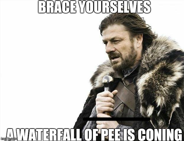 Brace Yourselves X is Coming Meme | BRACE YOURSELVES A WATERFALL OF PEE IS CONING OJHHHHHHHHHHHHHHHHHHHHHHHHHHHHHHHHHHHHHHH | image tagged in memes,brace yourselves x is coming | made w/ Imgflip meme maker
