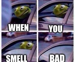 Time to air out the car, and put some deodorant on | WHEN YOU SMELL BAD | image tagged in kermit rolls up window,memes | made w/ Imgflip meme maker