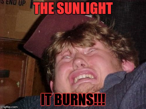WTF | THE SUNLIGHT IT BURNS!!! | image tagged in memes,wtf | made w/ Imgflip meme maker