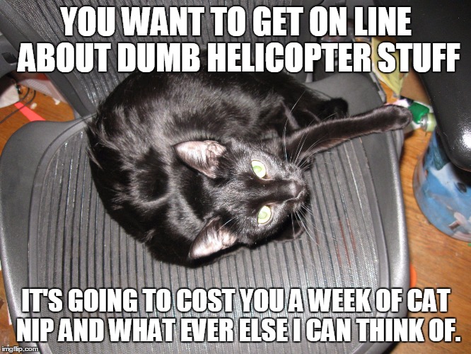 YOU WANT TO GET ON LINE ABOUT DUMB HELICOPTER STUFF IT'S GOING TO COST YOU A WEEK OF CAT NIP AND WHAT EVER ELSE I CAN THINK OF. | image tagged in cat extortion | made w/ Imgflip meme maker