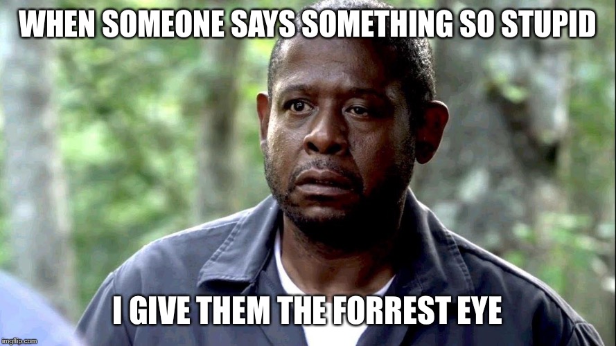 WHEN SOMEONE SAYS SOMETHING SO STUPID I GIVE THEM THE FORREST EYE | image tagged in forrest eye | made w/ Imgflip meme maker