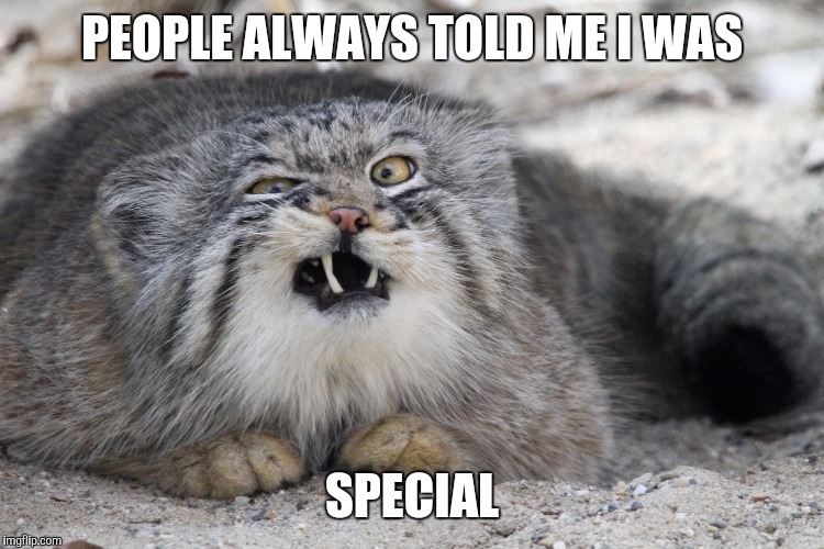 PEOPLE ALWAYS TOLD ME I WAS SPECIAL | image tagged in demented cat | made w/ Imgflip meme maker