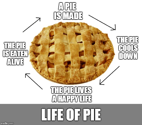 What I thought Life Of Pi was going to be about. | A PIE IS MADE THE PIE COOLS DOWN THE PIE LIVES A HAPPY LIFE THE PIE IS EATEN ALIVE LIFE OF PIE | image tagged in life of pi,pie,funny memes,funny,movies,memes | made w/ Imgflip meme maker