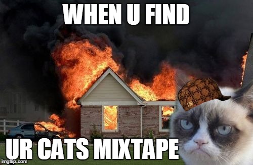 Burn Kitty Meme | WHEN U FIND UR CATS MIXTAPE | image tagged in memes,burn kitty,scumbag | made w/ Imgflip meme maker