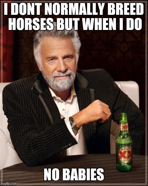 The Most Interesting Man In The World Meme | I DONT NORMALLY BREED HORSES BUT WHEN I DO NO BABIES | image tagged in memes,the most interesting man in the world | made w/ Imgflip meme maker