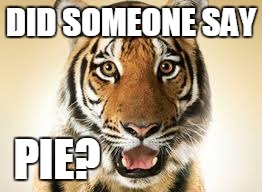 DID SOMEONE SAY PIE? | made w/ Imgflip meme maker