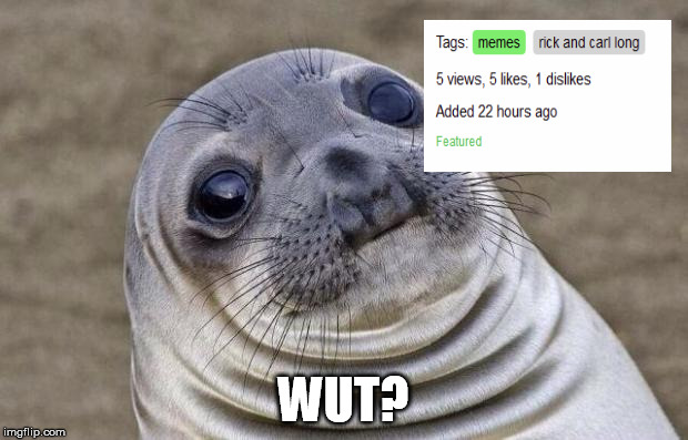 Awkward Moment Sealion | WUT? | image tagged in memes,awkward moment sealion | made w/ Imgflip meme maker