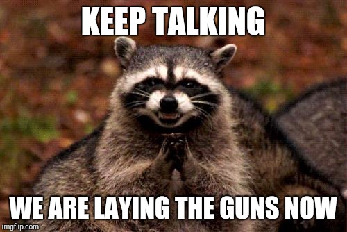 Evil Plotting Raccoon | KEEP TALKING WE ARE LAYING THE GUNS NOW | image tagged in memes,evil plotting raccoon | made w/ Imgflip meme maker