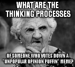 confused old lady | WHAT ARE THE THINKING PROCESSES OF SOMEONE WHO VOTES DOWN A "UNPOPULAR OPINION PUFFIN" MEME? | image tagged in confused old lady,meme | made w/ Imgflip meme maker