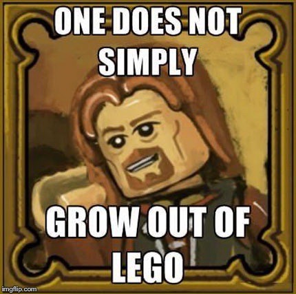 One does not simply | image tagged in aragorn | made w/ Imgflip meme maker