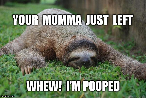 Sloth Monday | WHEW!  I'M POOPED YOUR  MOMMA  JUST  LEFT | image tagged in sloth monday | made w/ Imgflip meme maker