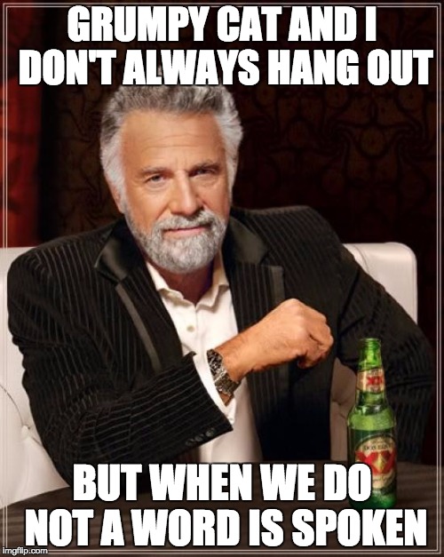 The Most Interesting Man In The World Meme | GRUMPY CAT AND I DON'T ALWAYS HANG OUT BUT WHEN WE DO NOT A WORD IS SPOKEN | image tagged in memes,the most interesting man in the world | made w/ Imgflip meme maker