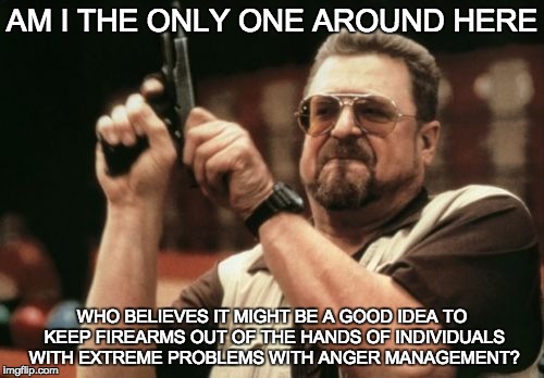 Am I The Only One Around Here | AM I THE ONLY ONE AROUND HERE WHO BELIEVES IT MIGHT BE A GOOD IDEA TO KEEP FIREARMS OUT OF THE HANDS OF INDIVIDUALS WITH EXTREME PROBLEMS WI | image tagged in memes,am i the only one around here | made w/ Imgflip meme maker